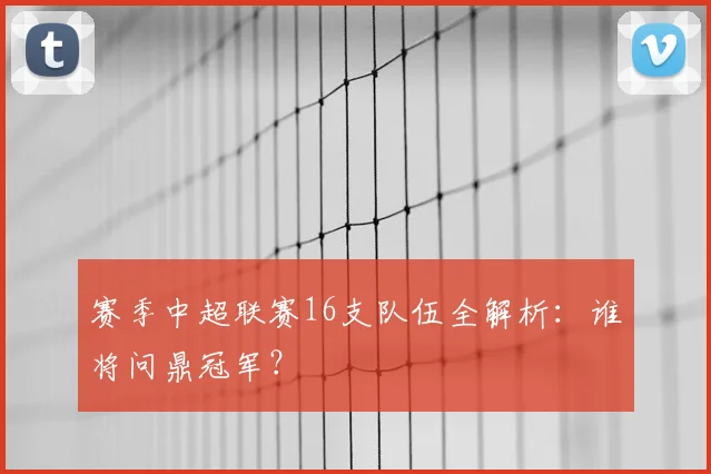 赛季中超联赛16支队伍全解析：谁将问鼎冠军？